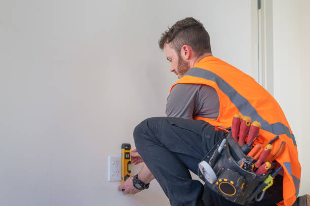 Best Electric Panel Repair  in Victory Lakes, NJ